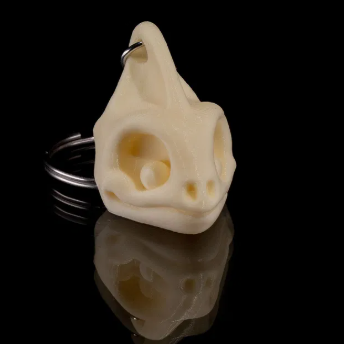 Skeleton Keychains