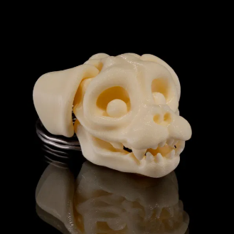 Skeleton Keychains